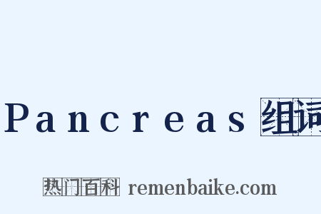 Pancreas组词是什么意思的图片